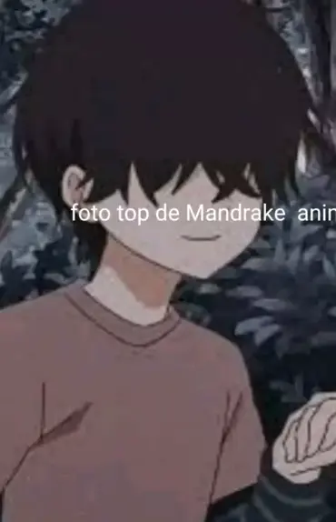 foto anime mandrake