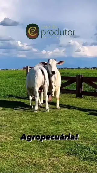 ARural Agropecuária