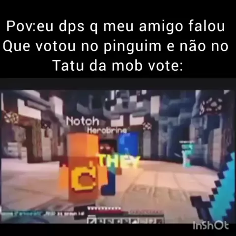 VOTE no tatu 🇧🇷🇧🇷#minecraft #tatu