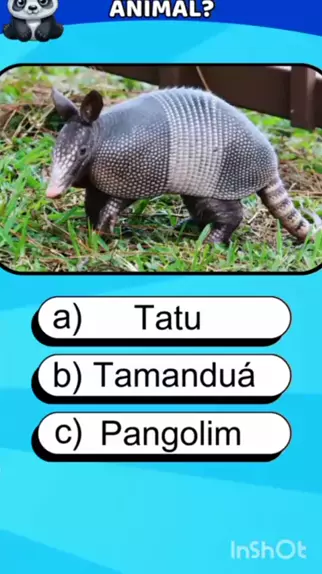 Qual é o nome do animal? Quiz animal #quiz #animal #animais