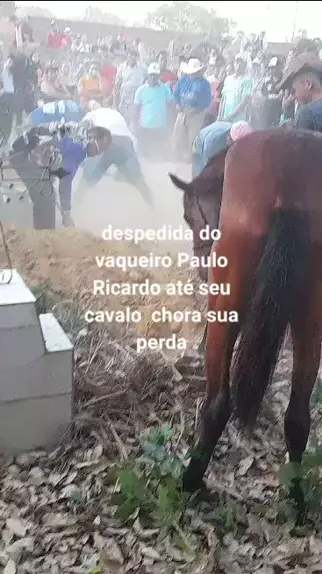 Reação de cavalo no enterro do dono comove internautas 