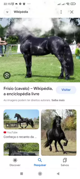 Problema do cavalo – Wikipédia, a enciclopédia livre