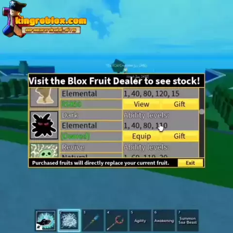 blox fruit stock