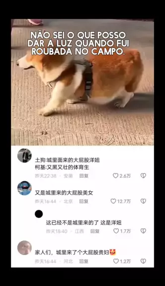 壮屁股 | Discover