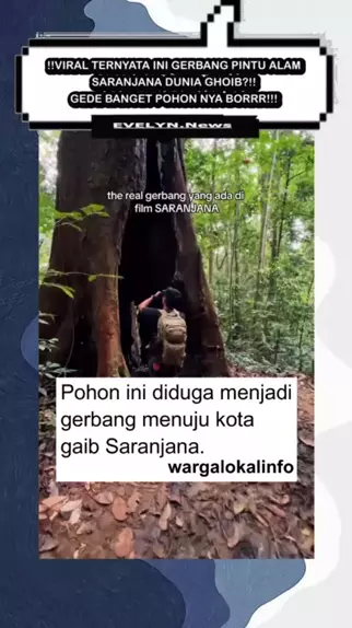 Pohon Yang Diduga Sebagai Gerbang Menuju Alam Gaib Saranjana Salfok