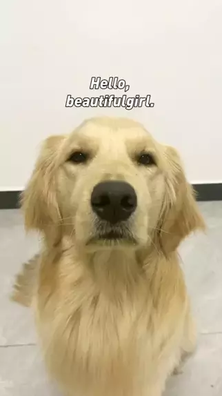 puppygirlxo leaked videos | Discover