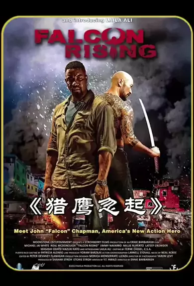 Falcon rising full online movie