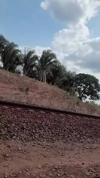 Cargueiro vli vagões graneleiro passando no km 270 em Alto Alegre