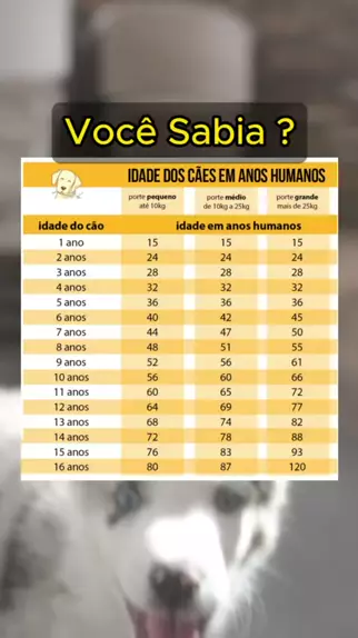 quantos anos vive um cachorro porte grande