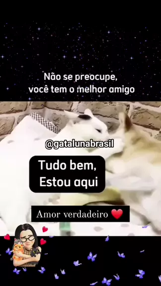 Quantos anos vive um cachorro vira-lata? Descubra!