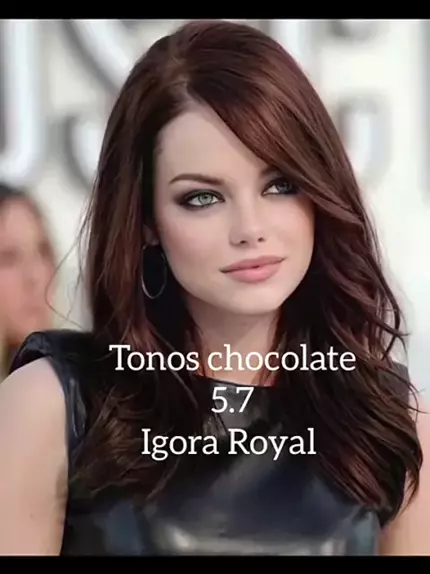 tonos chocolate en igora royal