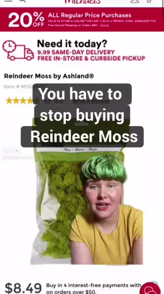 Reindeer Moss by Ashland®