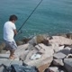 Francisco Azevedo802＠