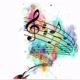 flash music🎶_787