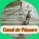 CANAL DO PÁSSARO E NATUREZA