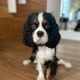 KingBartolomeu