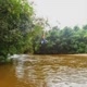 WJ_videos