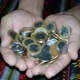 WV NUMISMÁTICA