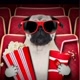 RO  FILMES