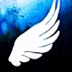 app de verificado e banner angelical fake no ff