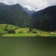 Mountain forest