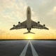 Flying life