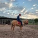 TOP TOMBOS em Cavalos - Rodeio de Colorado 2018 