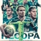 palmeiras minha paixão