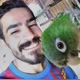 Marckozalvez