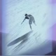 surfer's paradise