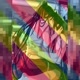 lilifujoshi