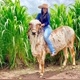 Agro E Tudo  🐄🐮🐄🐮