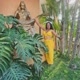 Terapeuta Tantra