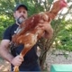 Wilker Paulino de Oliveira （OFICIAL）