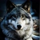 KillerWolf