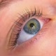 lash lifting