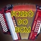 Forró do bom🎹🎸🎵🔊✅