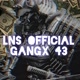 GANGX 43