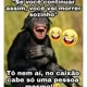 Como matar uma barata! - Meme by DanielMaldonado :) Memedroid