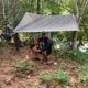 Pescador Mateiro