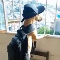 😂 Caramelo Memes 😂 ★ (@bs_do_b2) on SnackVideo