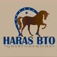 Harasbto OFICIAL