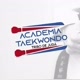 TKD TRIBO DE JUDÁ