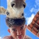 Breninho085