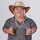 Conteudos_resenha