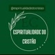 Espiritualidadedocristao