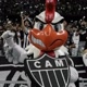 AQUI É GALO