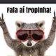 HISTÓRIAS ENGRAÇADAS