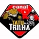 TATU NA TRILHA