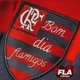eu_apoiovaquejada